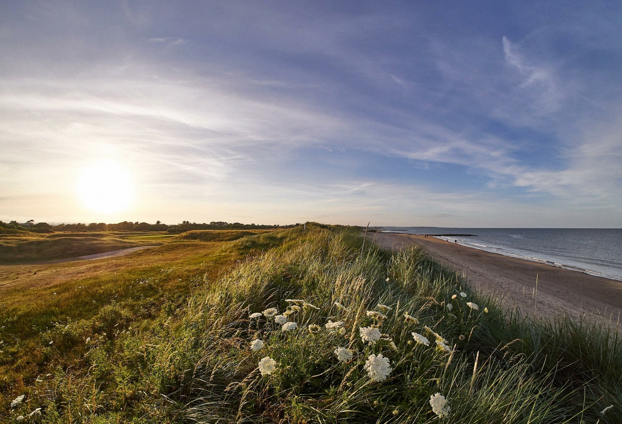 Dünen am Strand von Rosslare Strand im Abendlicht